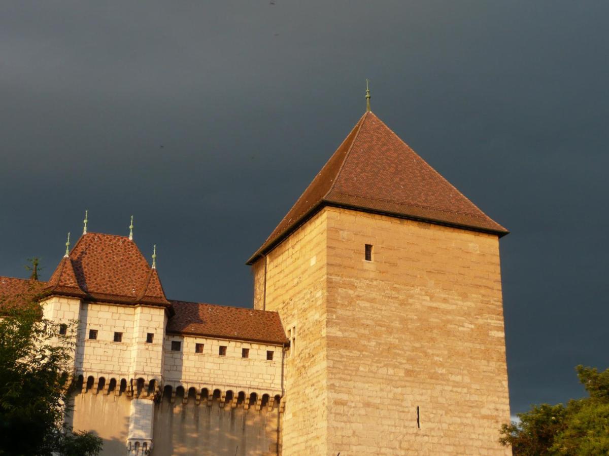Appartement Dans La Vieille Ville, En Face Du Chateau Annecy Exterior foto