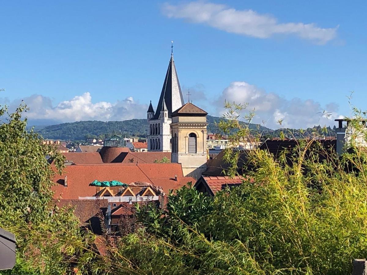 Appartement Dans La Vieille Ville, En Face Du Chateau Annecy Exterior foto